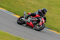 PJ-Motorsport-2019;anglesey-no-limits-trackday;anglesey-photographs;anglesey-trackday-photographs;enduro-digital-images;event-digital-images;eventdigitalimages;no-limits-trackdays;peter-wileman-photography;racing-digital-images;trac-mon;trackday-digital-images;trackday-photos;ty-croes